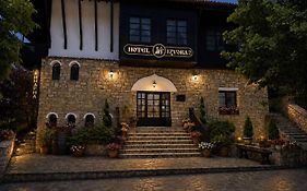Hotel Izvora 2